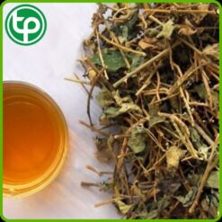 Alternative view of Cà Gai Leo