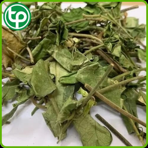 Dây thìa canh hỗ trợ điều trị tiểu đường