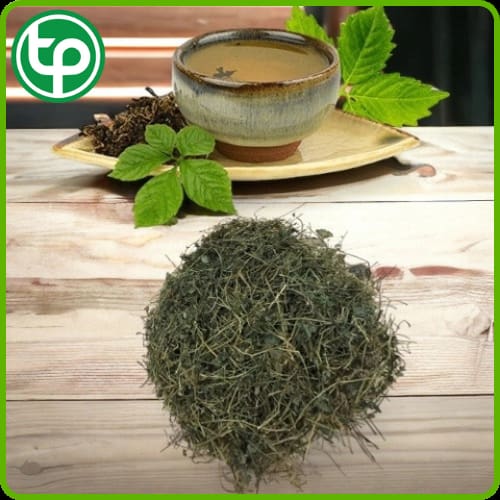 Pha trà giải khát từ giảo cổ lam