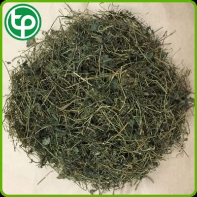 Giảo cổ lam tăng cường lưu thông máu