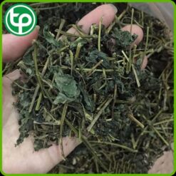 Alternative view of Giảo Cổ Lam