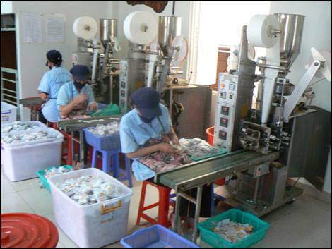 Quy trình sản xuất trà túi lọc lá ổi của Tấn Phát