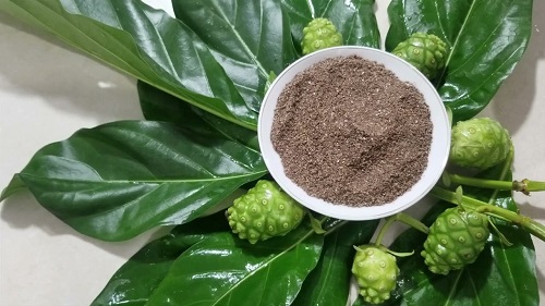 Sản phẩm bột trái nhàu