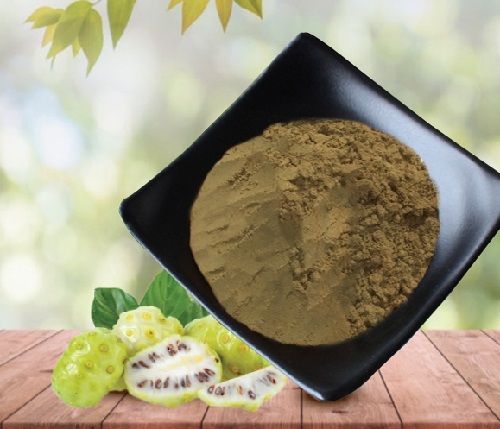 Sản phẩm bột nhàu chất lượng