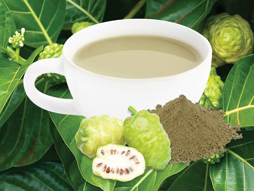 Sản phẩm bột nhàu được sản xuất bởi công nghệ hiện đại