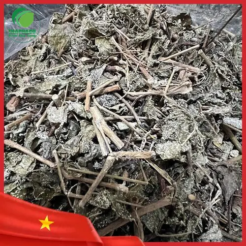 Hình ảnh chè dây khô tự nhiên Thảo Dược Tấn Phát