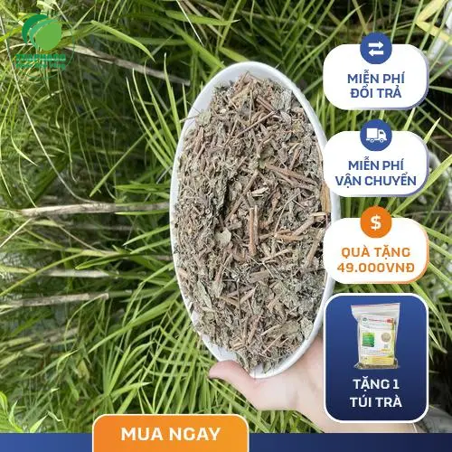 Hình ảnh chè dây đã được sơ chế sạch sẽ