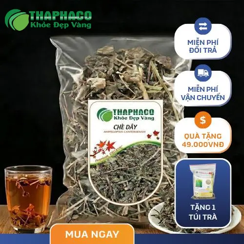 Chè dây sau khi được sấy khô đảm bảo chất lượng
