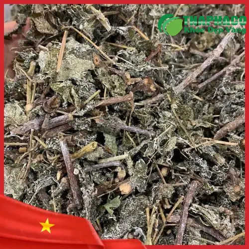 Hình ảnh chè dây đang trong quá trình sấy khô bằng máy móc hiện đại