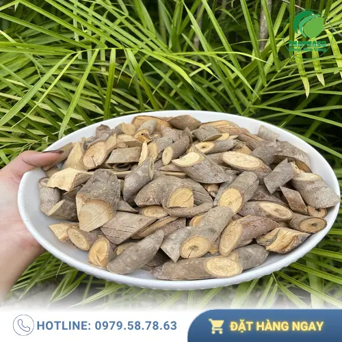 Cây an xoa tự nhiên