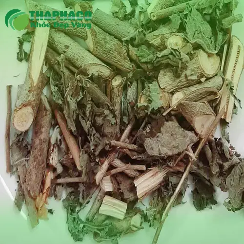 Cây an xoa tươi được thu hái thủ công