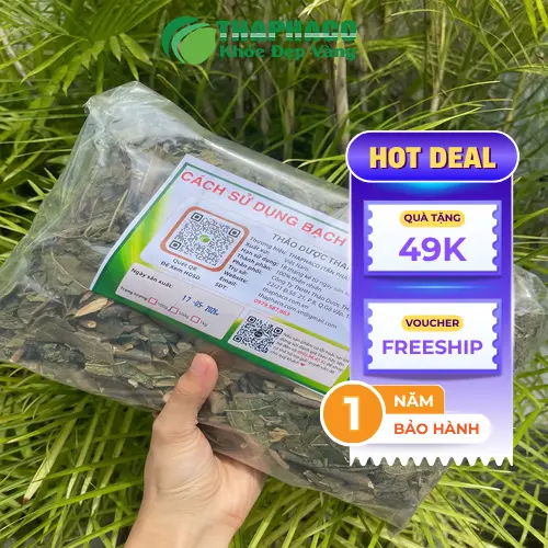 Cây Bạch Đồng Nữ tự nhiên và các thành phần hóa học
