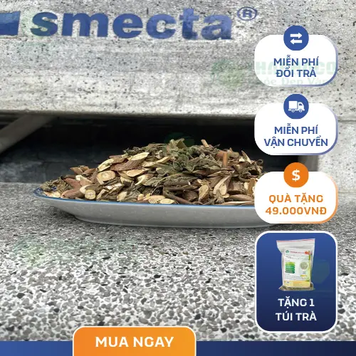 Lợi ích sức khỏe của bạch đồng nữ qua góc nhìn dược sĩ