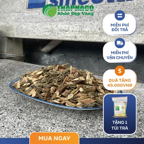 Các bước chuẩn bị để pha trà Bạch Đồng Nữ