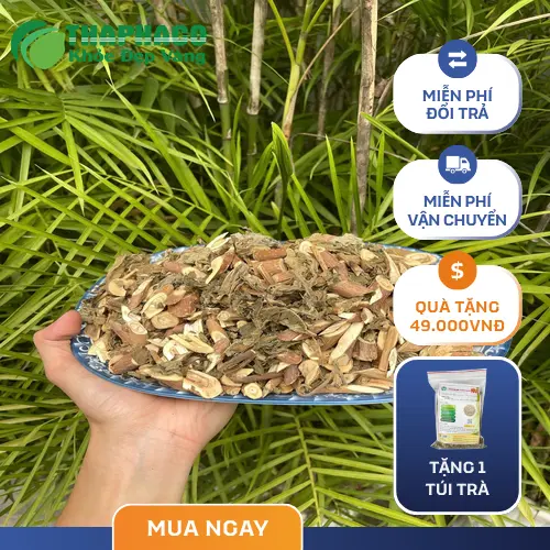Hình ảnh Bạch Đồng Nữ khô chất lượng cao từ Thảo Dược Tấn Phát, chuẩn bị cho việc sắc thuốc trong ấm đất.