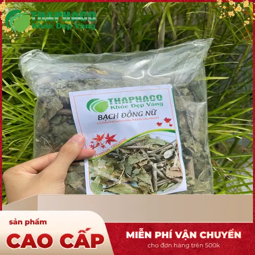 Bạch Đồng Nữ khô chất lượng cao của THAPHACO