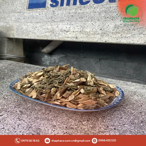 Bạch đồng nữ – thảo dược tự nhiên trị rôm sảy, mụn nhọt hiệu quả
