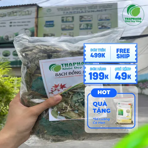 Quá trình pha trà Bạch Đồng Nữ đúng cách