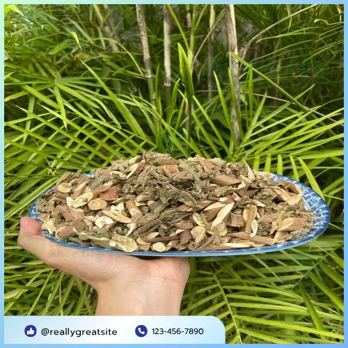 Hướng dẫn cách sắc Bạch Đồng Nữ khô để uống