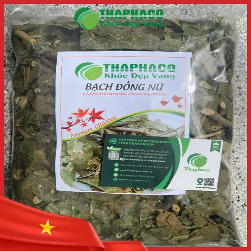 Hướng dẫn sắc nước bạch đồng nữ đúng cách để trị mụn nhọt và rôm sảy