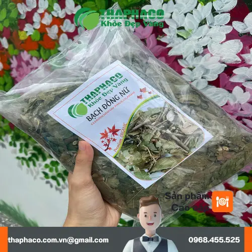 Ưu đãi mua bạch đồng nữ tặng trà sơn mật tại THAPHACO
