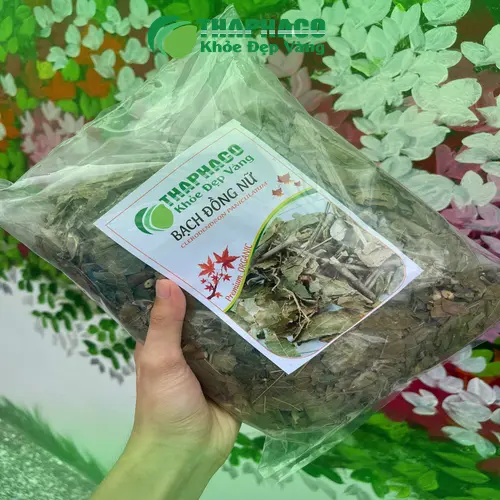 Hình ảnh Bạch Đồng Nữ khô được đóng gói chắc chắn, sạch sẽ, nhãn mác rõ ràng của Thảo Dược Tấn Phát, sẵn sàng giao đến tay khách hàng.