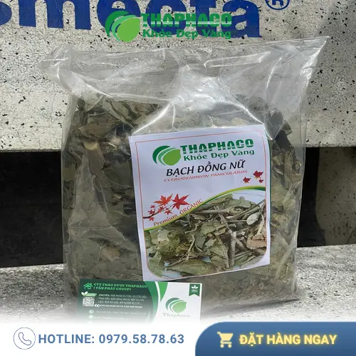 Thảo Dược Tấn Phát - Địa chỉ bán Bạch Đồng Nữ Khô uy tín