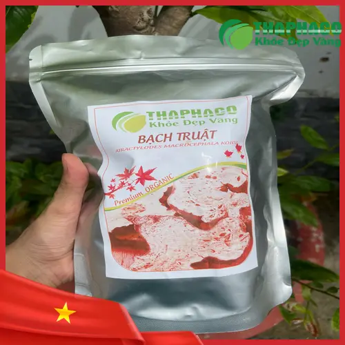 Quy trình thu hái và chế biến bạch truật khô chất lượng