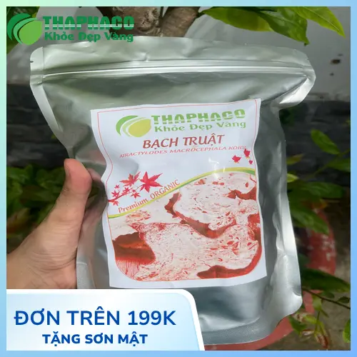 Hình ảnh củ bạch truật khô nguyên củ chất lượng cao