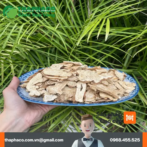 Bạch truật khô đã qua chế biến, sẵn sàng sử dụng