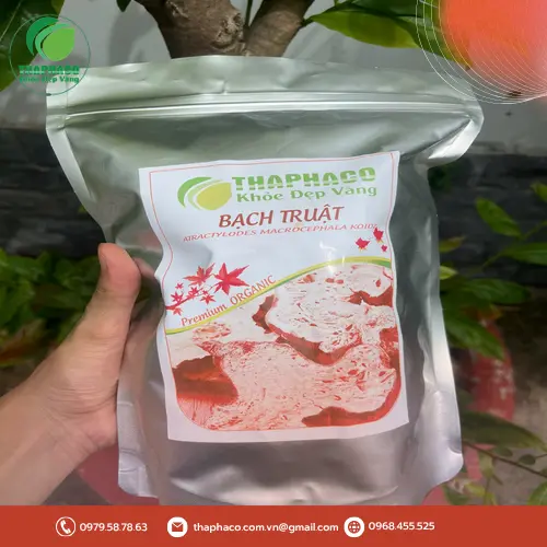 Bạch truật sấy khô ngâm rượu