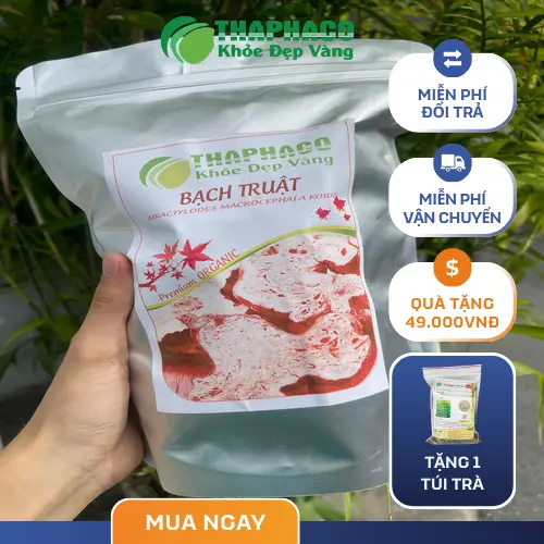 Đóng gói bạch truật sấy khô và trà sơn mật quà tặng