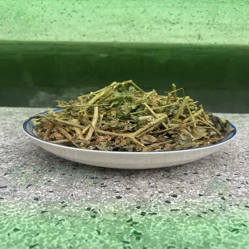 Hình ảnh cà gai leo khô chất lượng