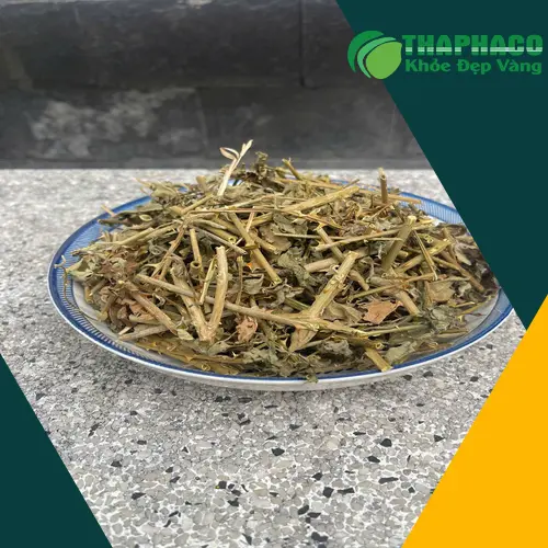 Hình ảnh cà gai leo khô đã được đóng gói