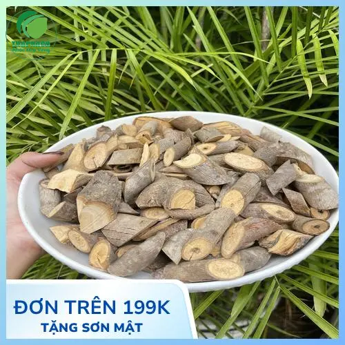 Hình ảnh cây an xoa tươi