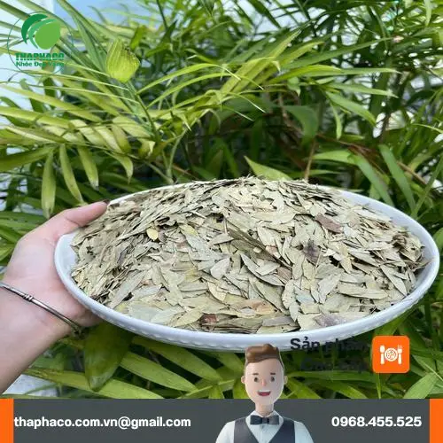 Thảo dược khô chất lượng cao từ Thảo Dược Tấn Phát