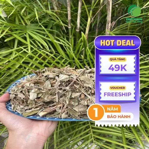 Khổ sâm khô chất lượng cao từ Thảo Dược Tấn Phát