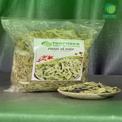 Quy trình kiểm soát chất lượng thảo dược nghiêm ngặt tại THAPHACO