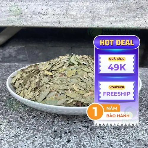 Quy trình kiểm tra chất lượng thảo dược nghiêm ngặt