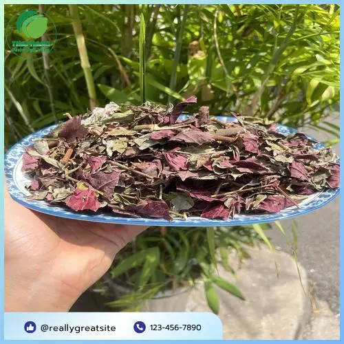Lá đơn đỏ sấy khô đã được đóng gói cẩn thận tại Tấn Phát
