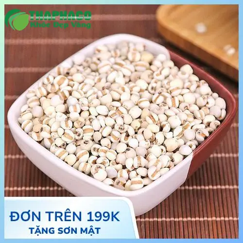 Quy trình sấy khô ý dĩ hiện đại tại Thảo Dược Tấn Phát
