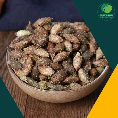 Kho bãi rộng lớn của Thảo Dược Tấn Phát đảm bảo nguồn cung ổn định