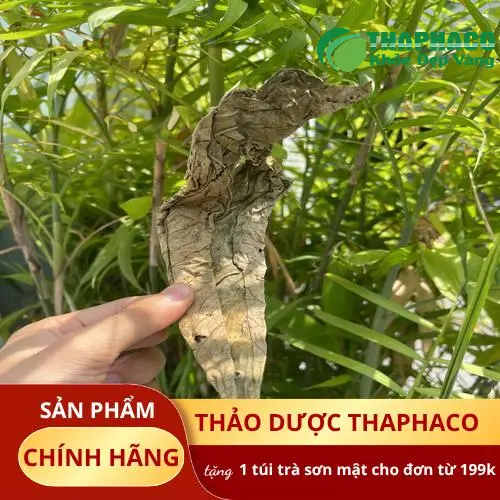Hướng dẫn pha trà Lá Khôi Tía sấy khô đúng cách