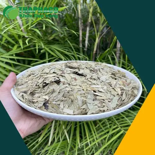 Sản phẩm thảo dược khô được đóng gói cẩn thận tại Thảo Dược Tấn Phát