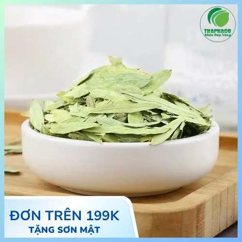 Phan Tả Diệp khô được bảo quản đúng chuẩn
