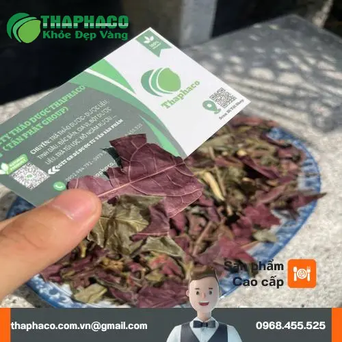 Quy trình chuẩn bị và sử dụng lá đơn đỏ