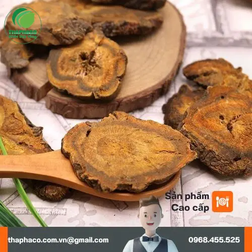 Lá và rễ Đại Hoàng