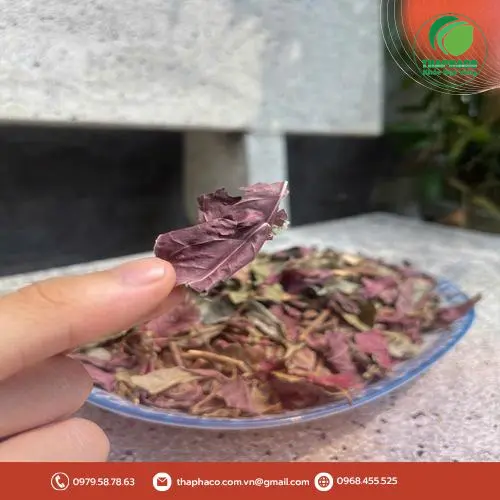 Quy trình kiểm soát chất lượng đơn lá đỏ tại Thảo Dược Tấn Phát