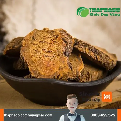 Tổng quan về các loại thảo dược khô được cung cấp tại Thảo Dược Tấn Phát