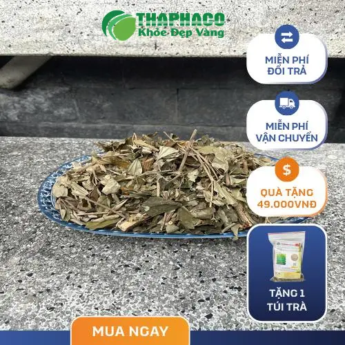 Ưu đãi hấp dẫn khi mua khổ sâm tại Thảo Dược Tấn Phát